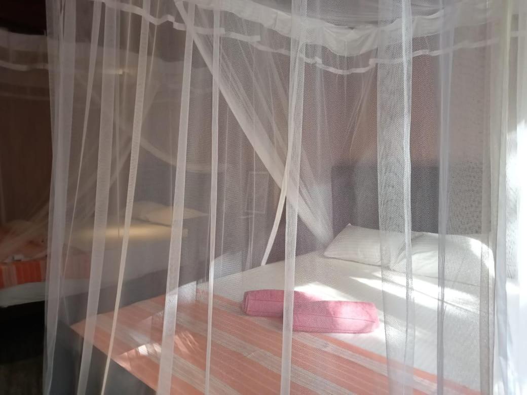 Piumi House Guest House ดิคเวลลา ภายนอก รูปภาพ