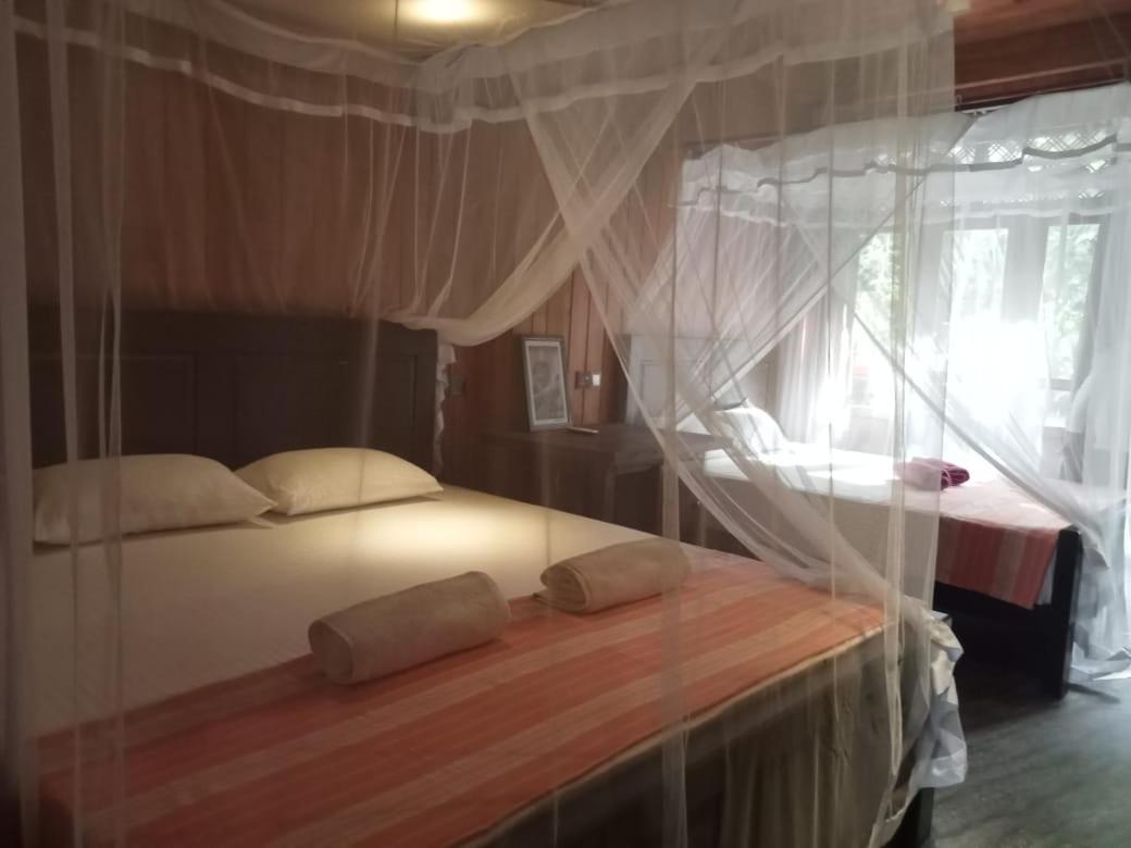 Piumi House Guest House ดิคเวลลา ภายนอก รูปภาพ