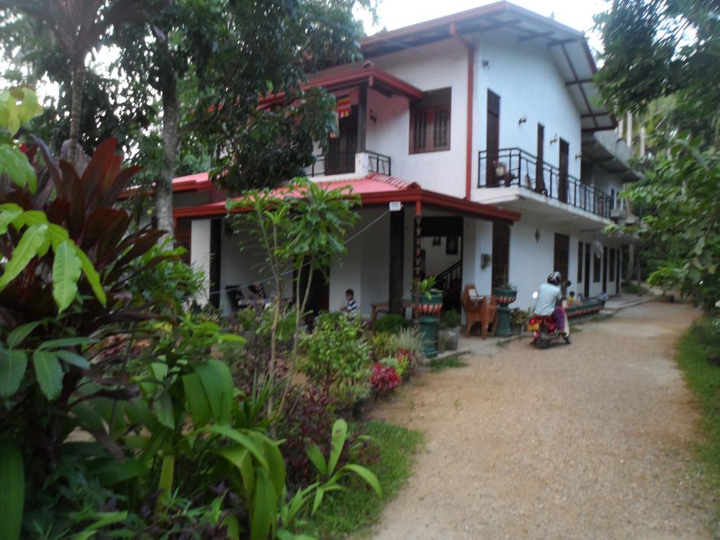 Piumi House Guest House ดิคเวลลา ภายนอก รูปภาพ